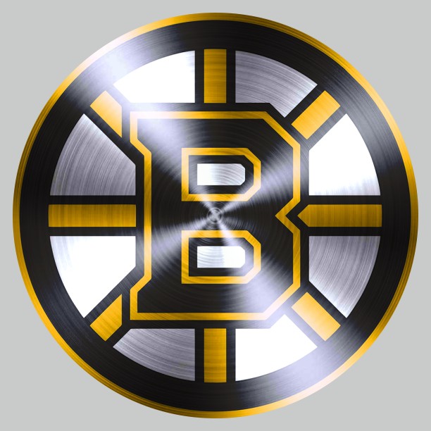 Boston Bruins Stainless steel logo iron on paper